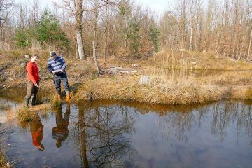 Kleine Gewässer – große Wirkung