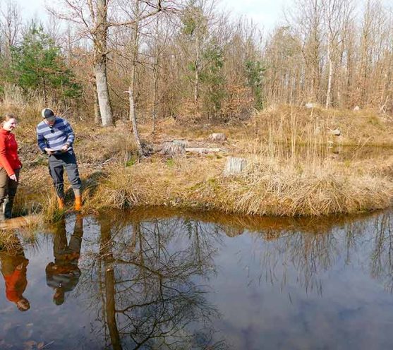 Kleine Gewässer – große Wirkung