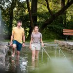 Gesucht: Ihr Platz im Schatten