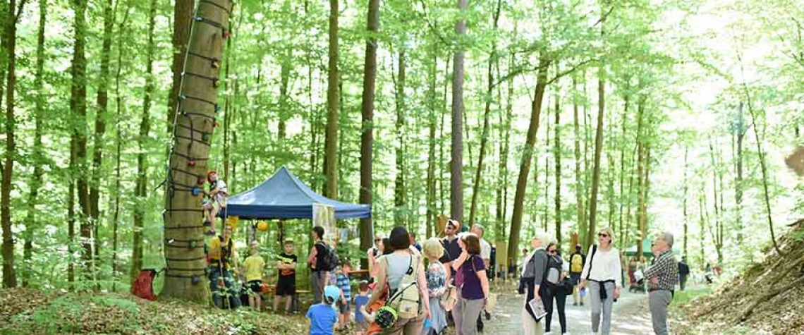 3. Mai: Waldtag 2026 im Steigerwald