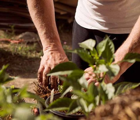 Mitmachen beim fünften WVV-Umweltpreis