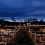 Klärwerksführung und Bachbesuch