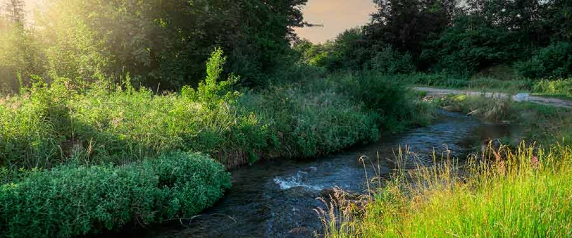 Main FlussFilmFest: elf Spielstätten