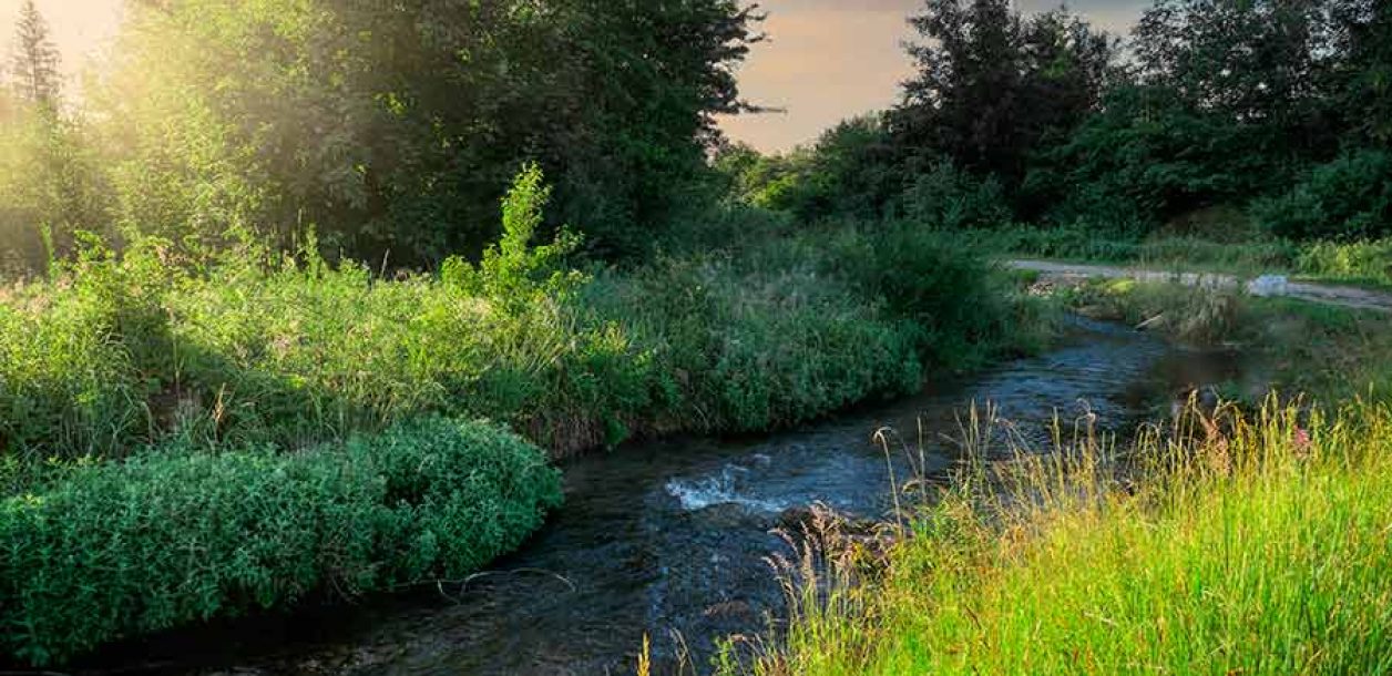 Main FlussFilmFest: elf Spielstätten