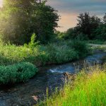 Main FlussFilmFest: elf Spielstätten